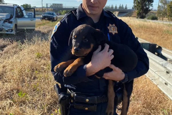 rs=w_2560,h_3413 (2)